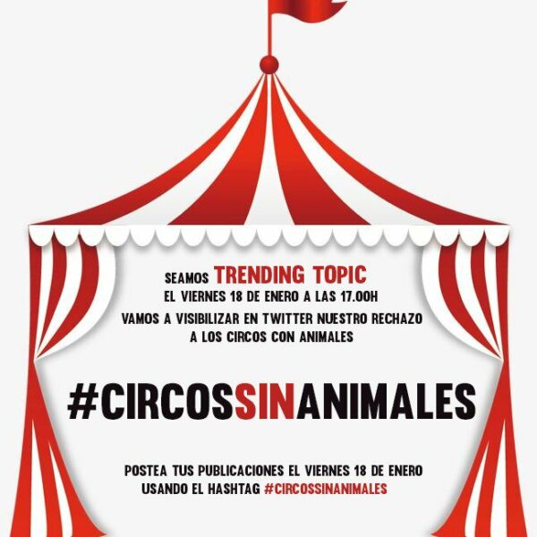 #CircosSinAnimales, difusión por twitter para el 18 de enero a las 17h.