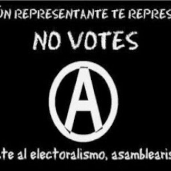 Elecciones, ley y voto: en democracia tú no decides