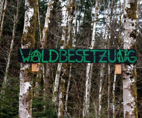 [Alemania] La acción directa crea comunidades | Deja de joder con el clima: ¡Ocupa los bosques!